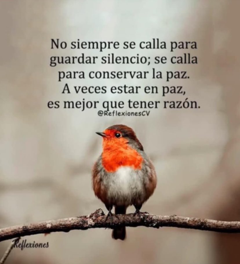 Enefertiti Pérez (@enefertitiperez) on Twitter photo 