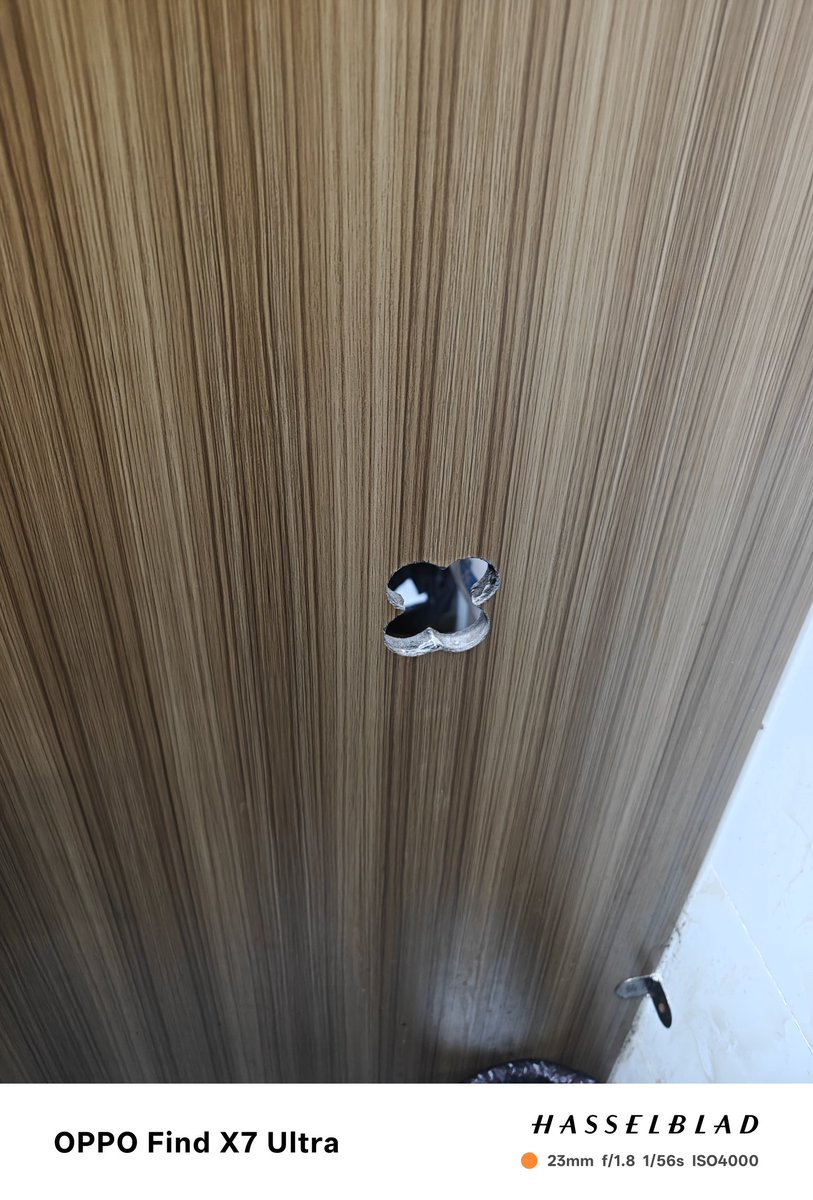 武汉随笔 #武汉鸟洞