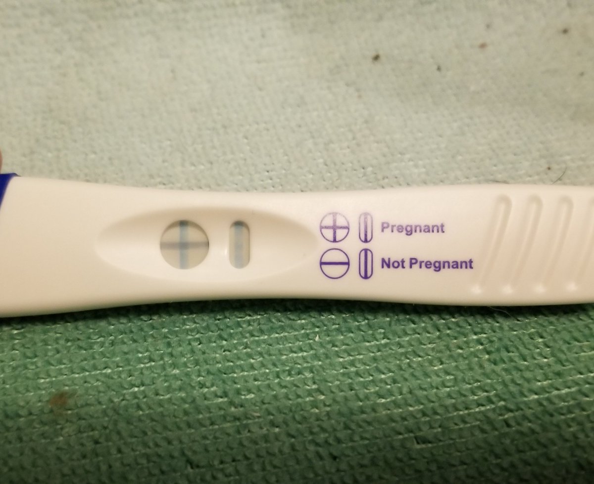 SUNBRNND's tweet image. GUYS. GUYS I WAS RIIGHT.  I WAS RIGHT FOR RECOVERING WHAT. THERES A FUCKING BABY IN ME.