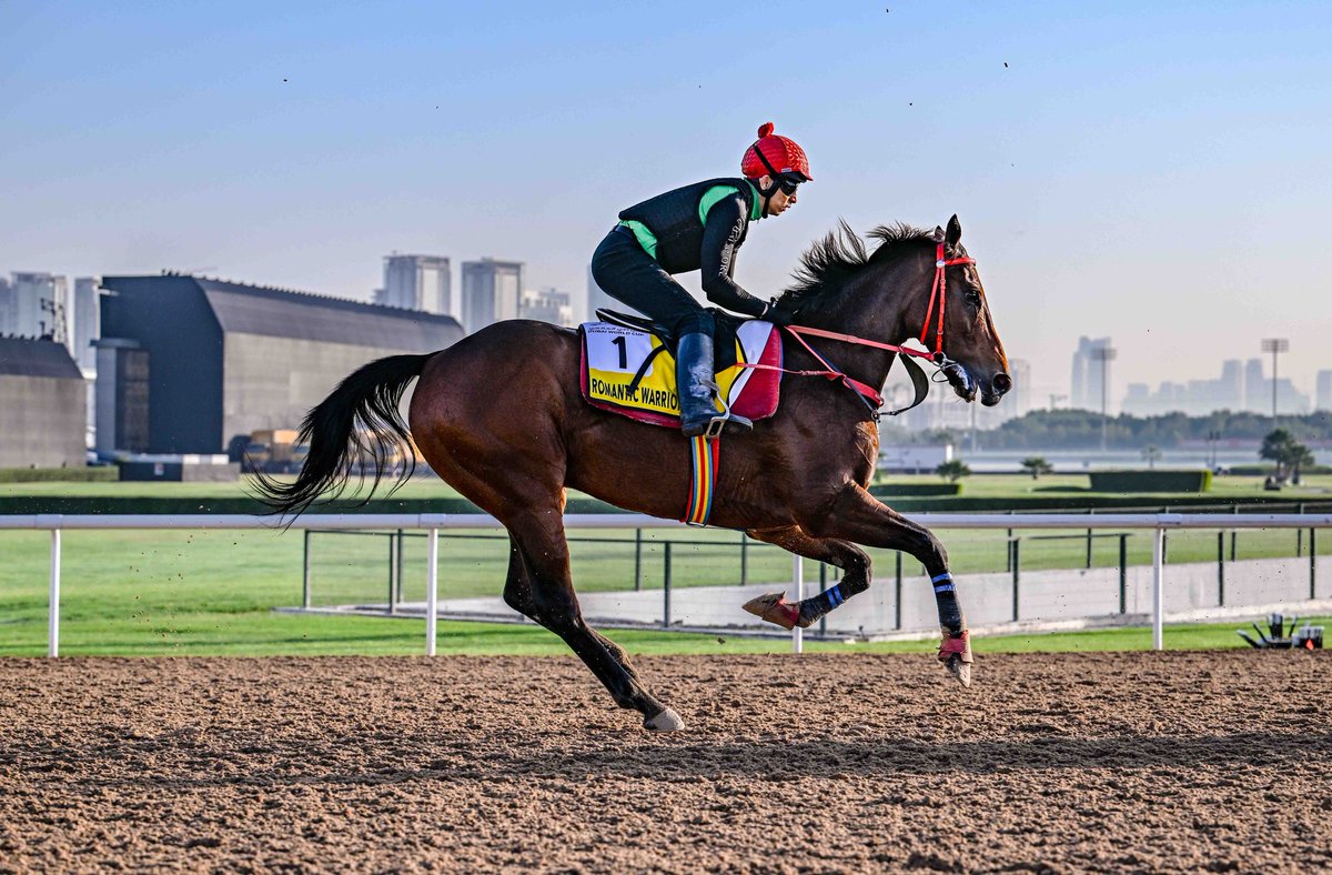 ChaseLiebenberg's tweet photo. #RomanticWarrior during his final trackwork leading up to his run in the Dubai Turf on #DubaiWorldCup night. https://t.co/NkDwnEkMsv