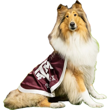 slamby88's tweet photo. @KnowingFaithPod @jenniferwilkin @kyleworley Great episode!  Spot on analogy using Texas A&amp;M. 😀 Gig’em! ‘88👍 https://t.co/4kc57KB9fc