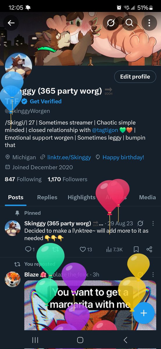 Skinggy (365 party worg) 🔜 TFF tweet media