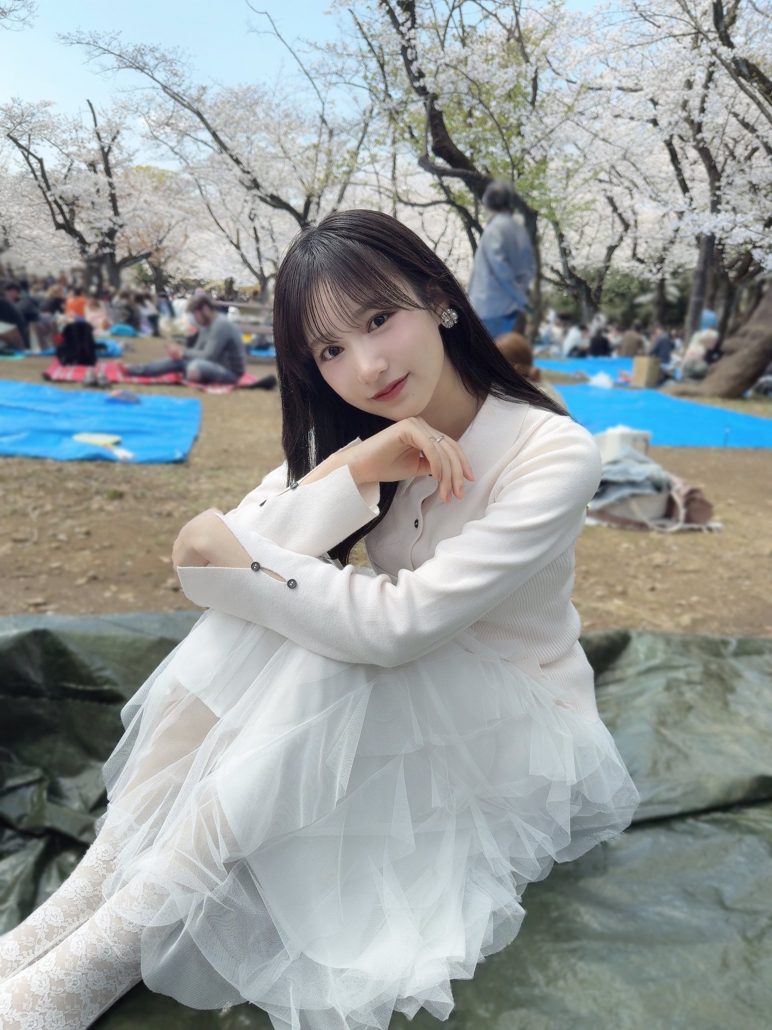 横野すみれ FC限定生写真セット 横野すみれ 柏木由紀 他 生写真 ブロマイド クリアファイル
