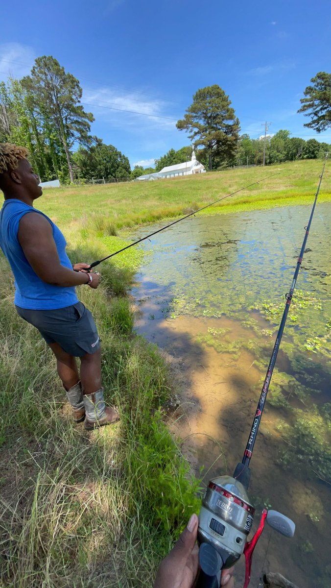 Gavin Helton tweet media