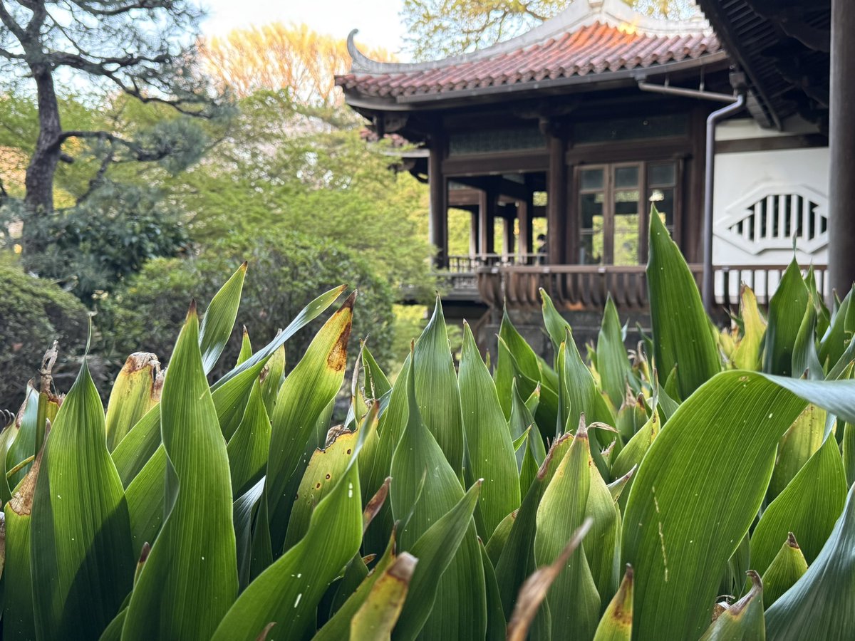 Anthony (Quagony) tweet media