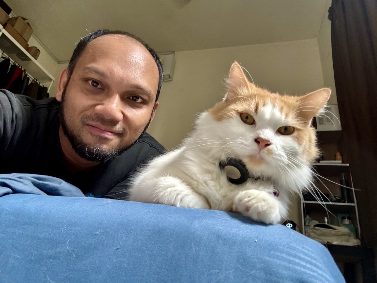 EmirExploring's tweet photo. It’s Caturday! 🥰 https://t.co/A4MWdy9SLe