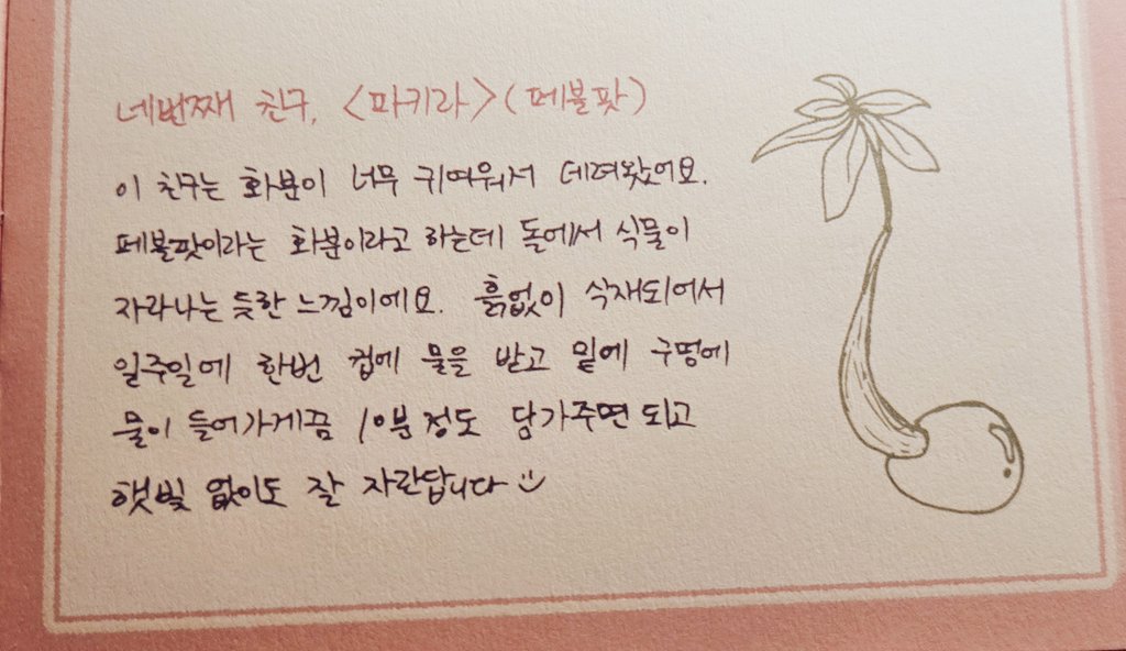 밤비꽃 💗 Bamby🌸flower tweet media