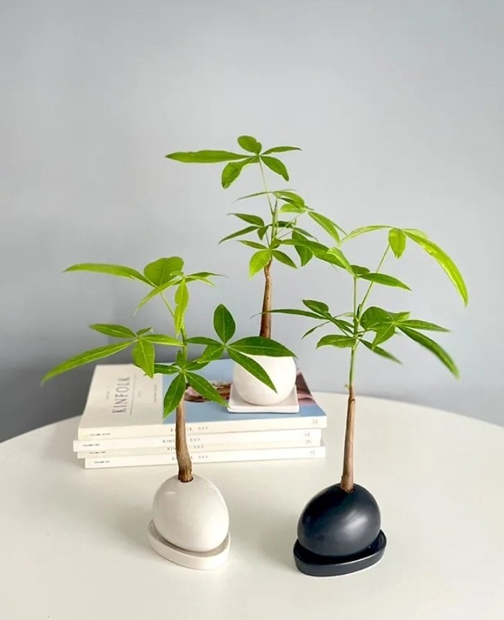 밤비꽃 💗 Bamby🌸flower tweet media