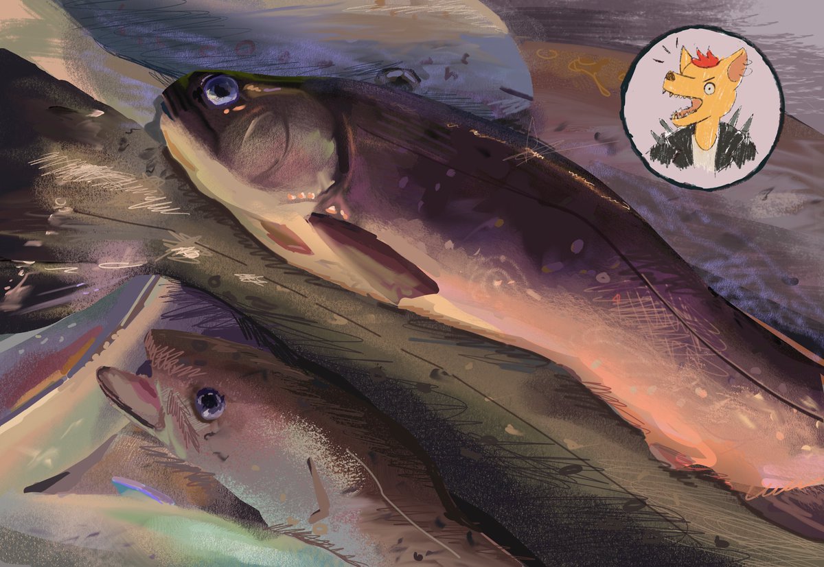 Marimorells's tweet image. Back from the dead with #Pleinairpril !
PleinAirpril 01-04
Plant, plant, plant and fish