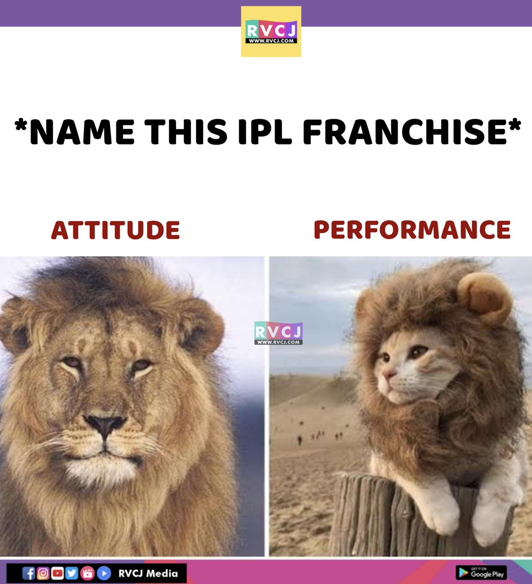 RVCJ Media tweet media