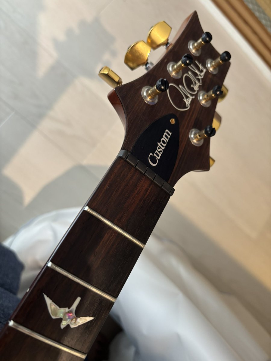 ryo_mio_nana's tweet photo. ぼくはひまだったのでギターのメ���テナンスをしました。

#prs
#custom24
#10top
#daddario https://t.co/Kw8wZ3AHTq