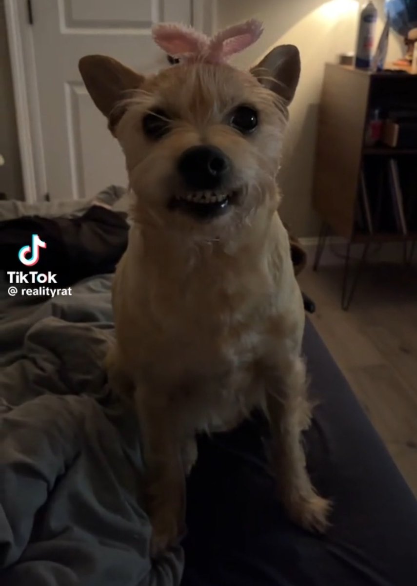 yo cuando digo que tengo muy mala ostia