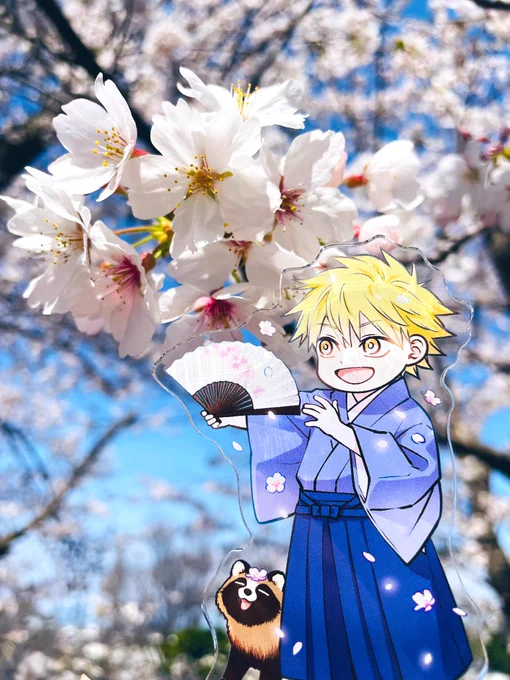 まんが王さんのアクリルスタンド、サンプルをいただきましたありがとうございます!桜と一緒に撮りたくて近所の桜を巡ってきましたいい天気。コミックスや特典、お迎えくださった皆さま、本当にありがとうございます! 