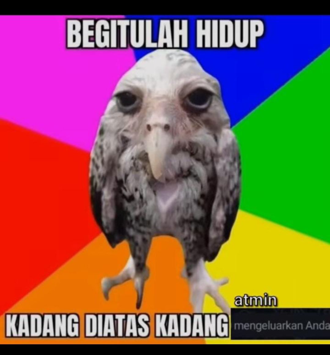FADH13L's tweet photo. @ValtheaNankila Keluh kesah member suatu grup https://t.co/hCvC1xDG8F