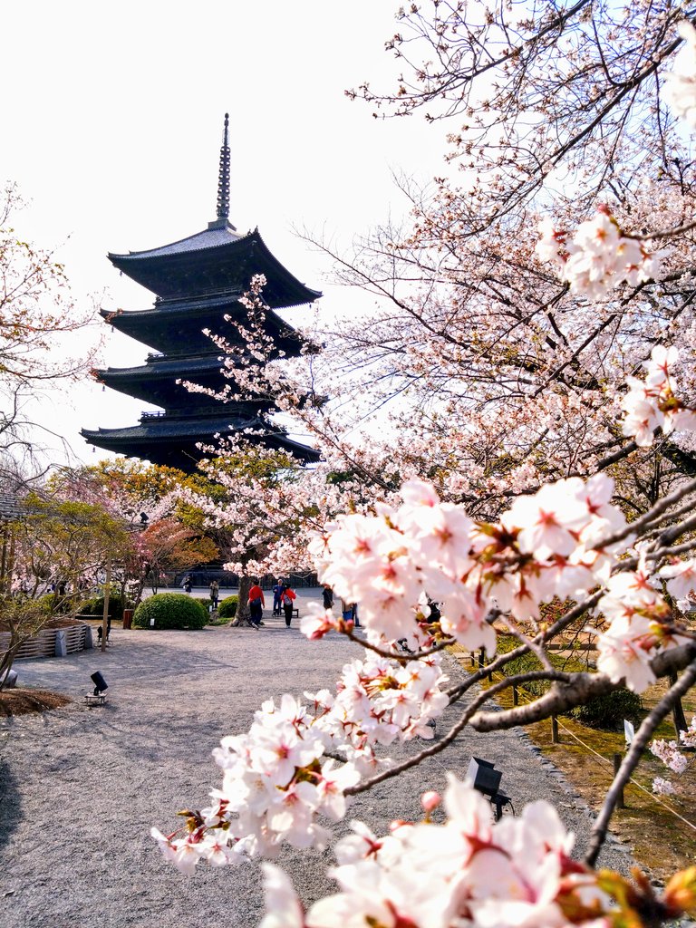 rikuzo7's tweet photo. 東寺（教王護国寺）

京都市南区にある真言宗総本山の日本の仏教寺院
空海（弘法大師）が嵯峨天皇から東寺を下賜されたことにより、国家鎮護の官寺であるととも真言密教の根本道場となる。

#東寺　#空海　#京都　#御朱印 https://t.co/keza3HRbLC