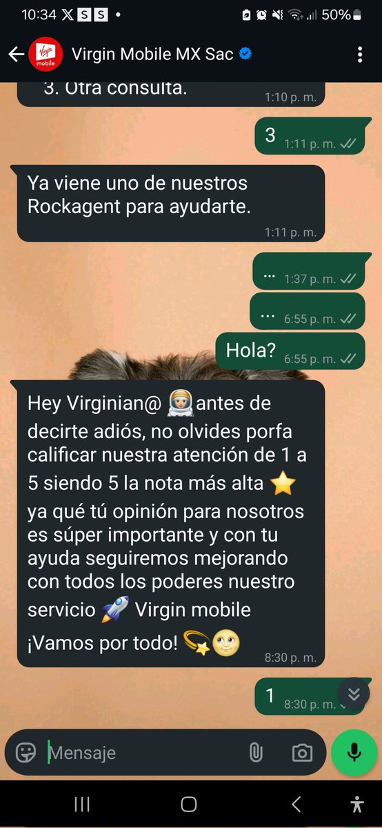 Rey Mapache✨ tweet media