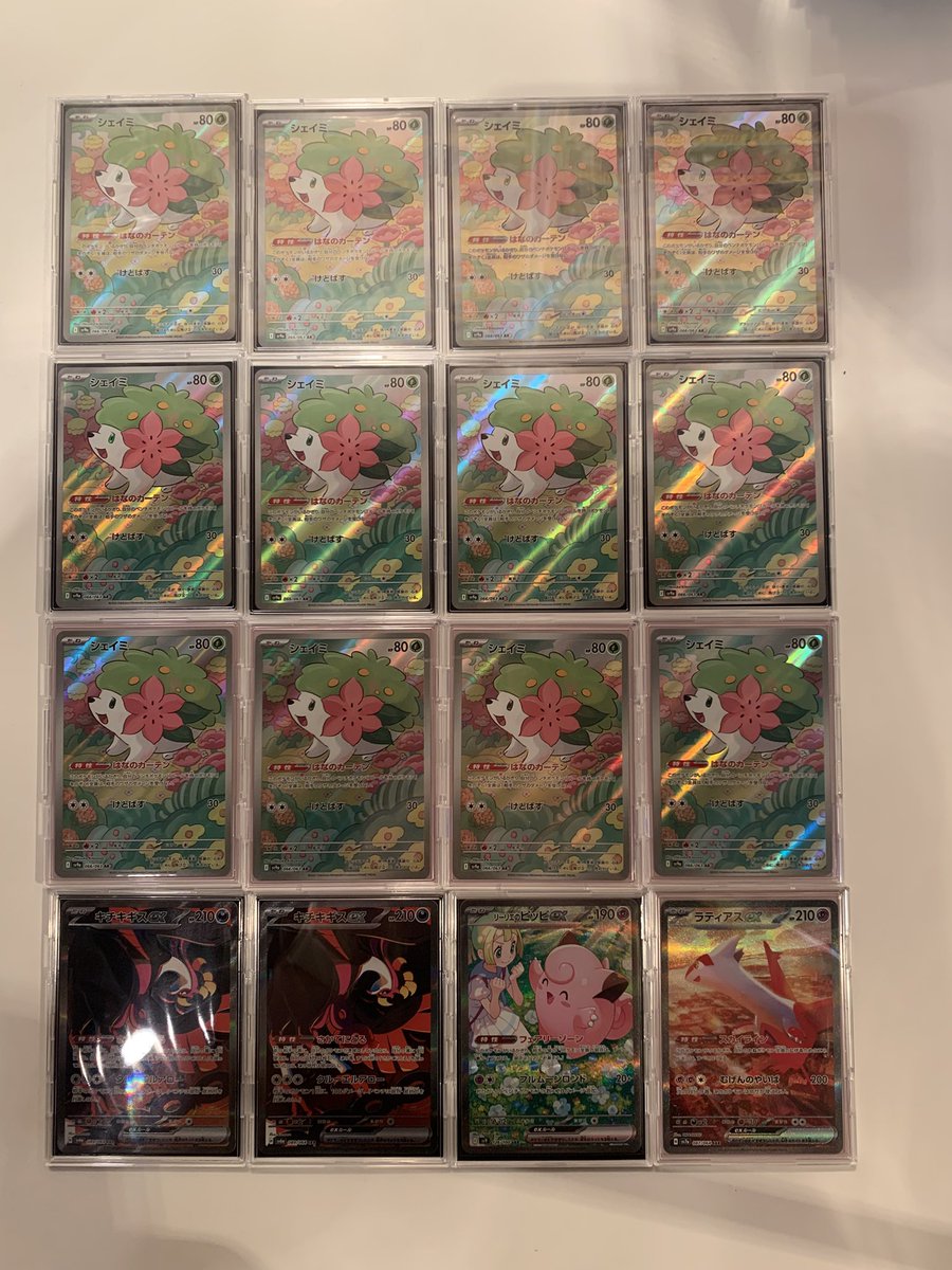 OMcat_official's tweet photo. 運営のすえちゃんです！

今回の景品の一部です！

圧巻のシェイミ祭り👏

#ポケカ #OMcat #ガチOMCS #ポケカ自主大会まとめ https://t.co/E7m8jTBsOF