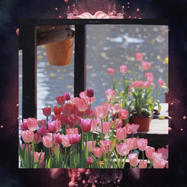 🪐 🌹 💰 🔥 🌸 🌈 Time blesses those who trust it.