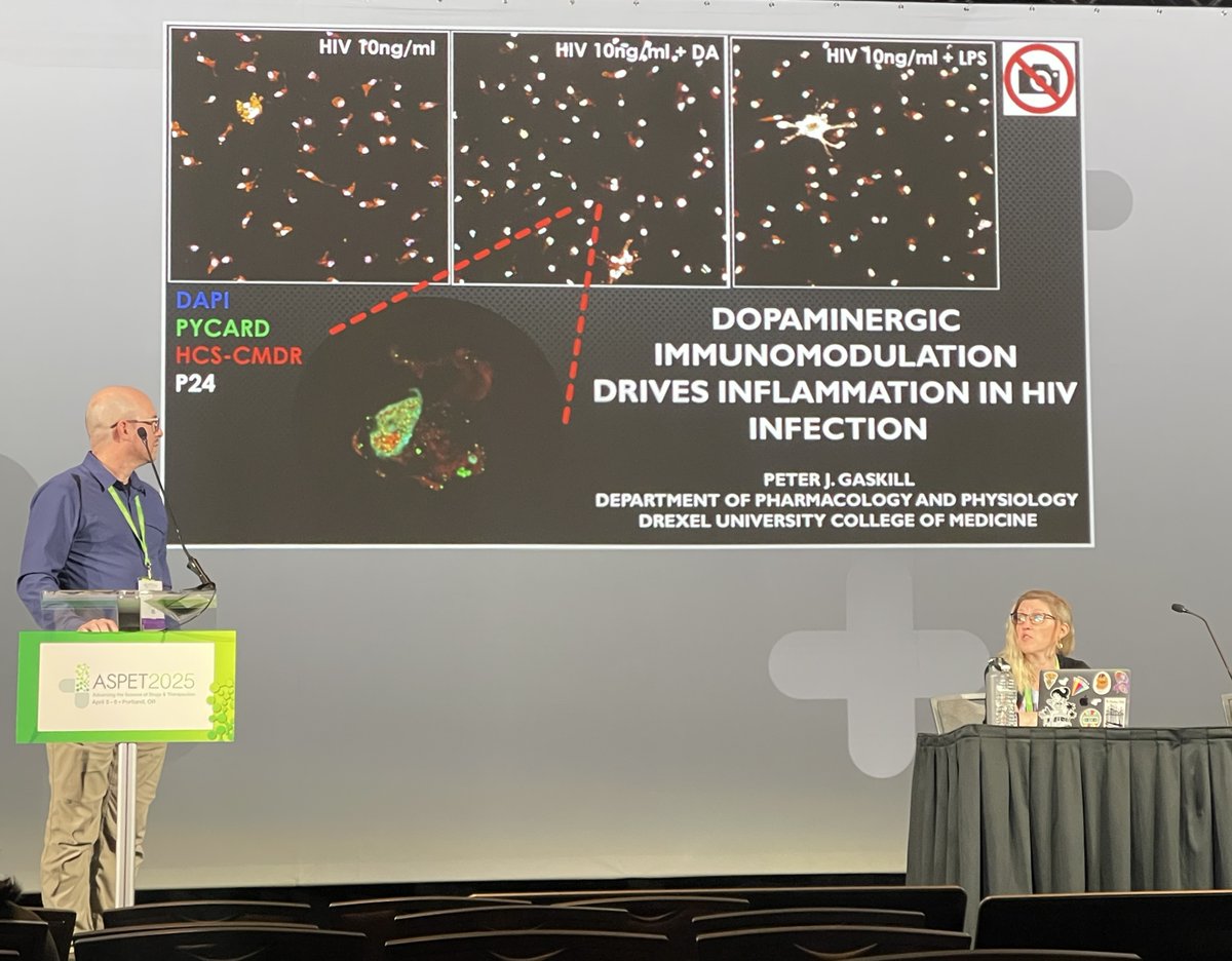 Dr. Peter J. Gaskill (@gaskilllab) on Twitter photo Awesome day at #aspet2025 for the Gaskill lab. Spoke dopaminergic immunology in HIV-associated inflammation in a symposium on "How the Immune System Tunes Monoamine Signaling", then <a href="/BreanaChanner/">Breana Channer</a> and <a href="/Tofunmi_OT/">Tofunmi Oteju</a> presented their fantastic data at the evening poster session. Awesome day at #aspet2025 for the Gaskill lab. Spoke dopaminergic immunology in HIV-associated inflammation in a symposium on "How the Immune System Tunes Monoamine Signaling", then <a href="/BreanaChanner/">Breana Channer</a> and <a href="/Tofunmi_OT/">Tofunmi Oteju</a> presented their fantastic data at the evening poster session.