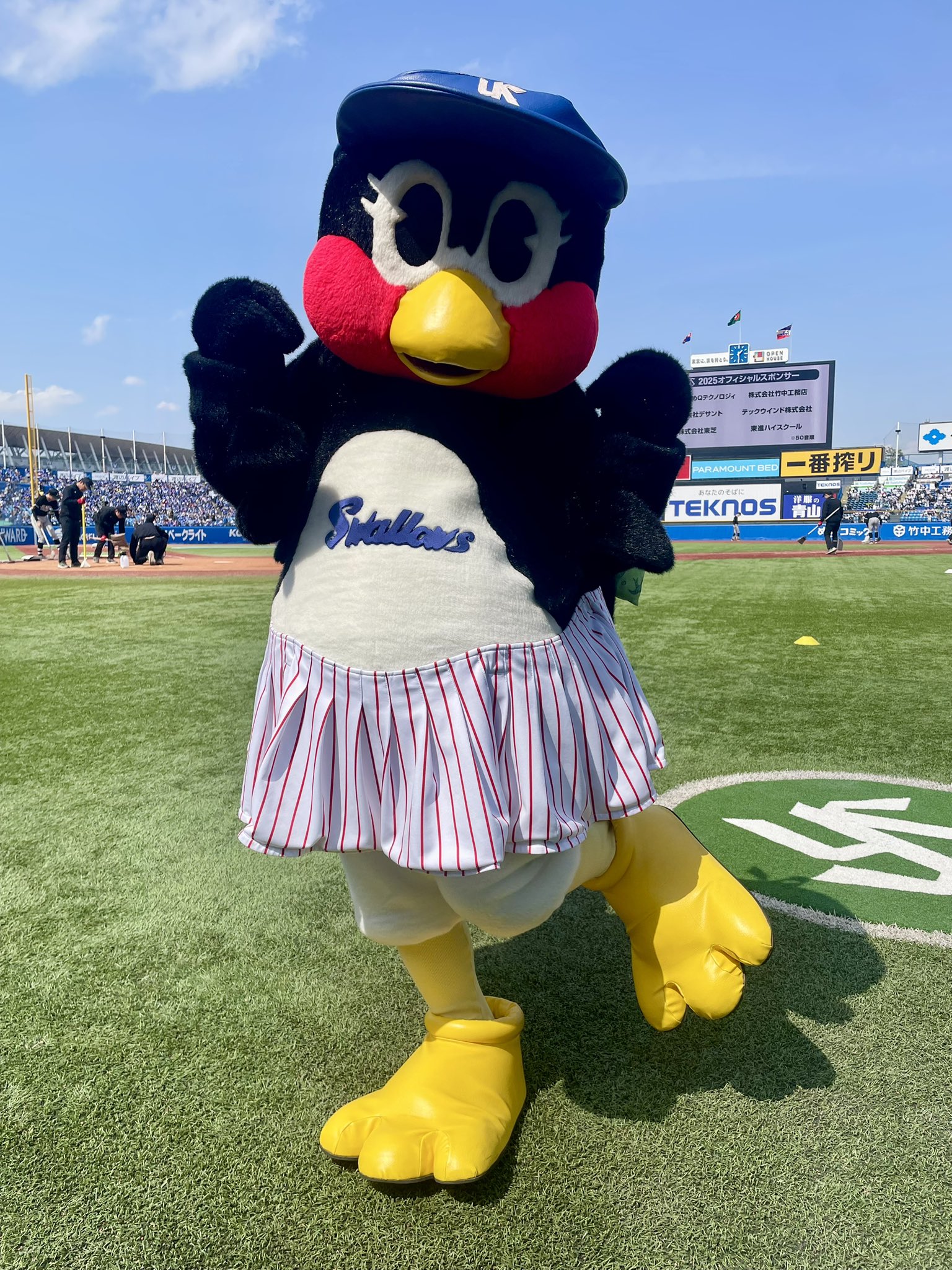 ヤクルトスワローズ　つばみちゃん つばみ | 東京ヤクルトスワローズ