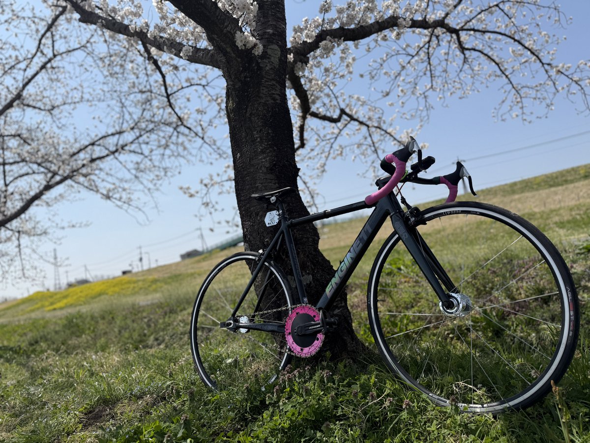 douseri_uparupa's tweet image. わたらせサイクルパークは8-9分咲き

2度目の実走SPRINTERシャキシャキ進むしコーナリングも良き
とりあえず今日は48×16Tで

#わたらせサイクルパーク #ENGINE11 #SPRINTER