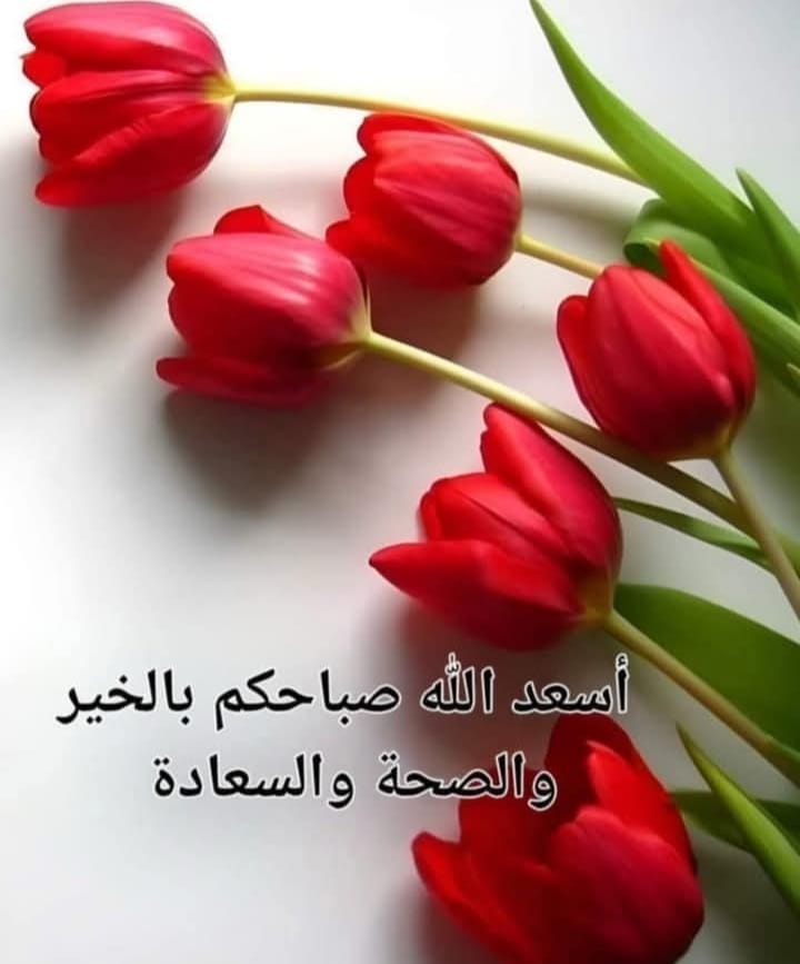 Ziad Alkakoun (@zalkakoun72135) on Twitter photo 