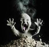 Taiga ♂ (@hewhofuzz) on Twitter photo 