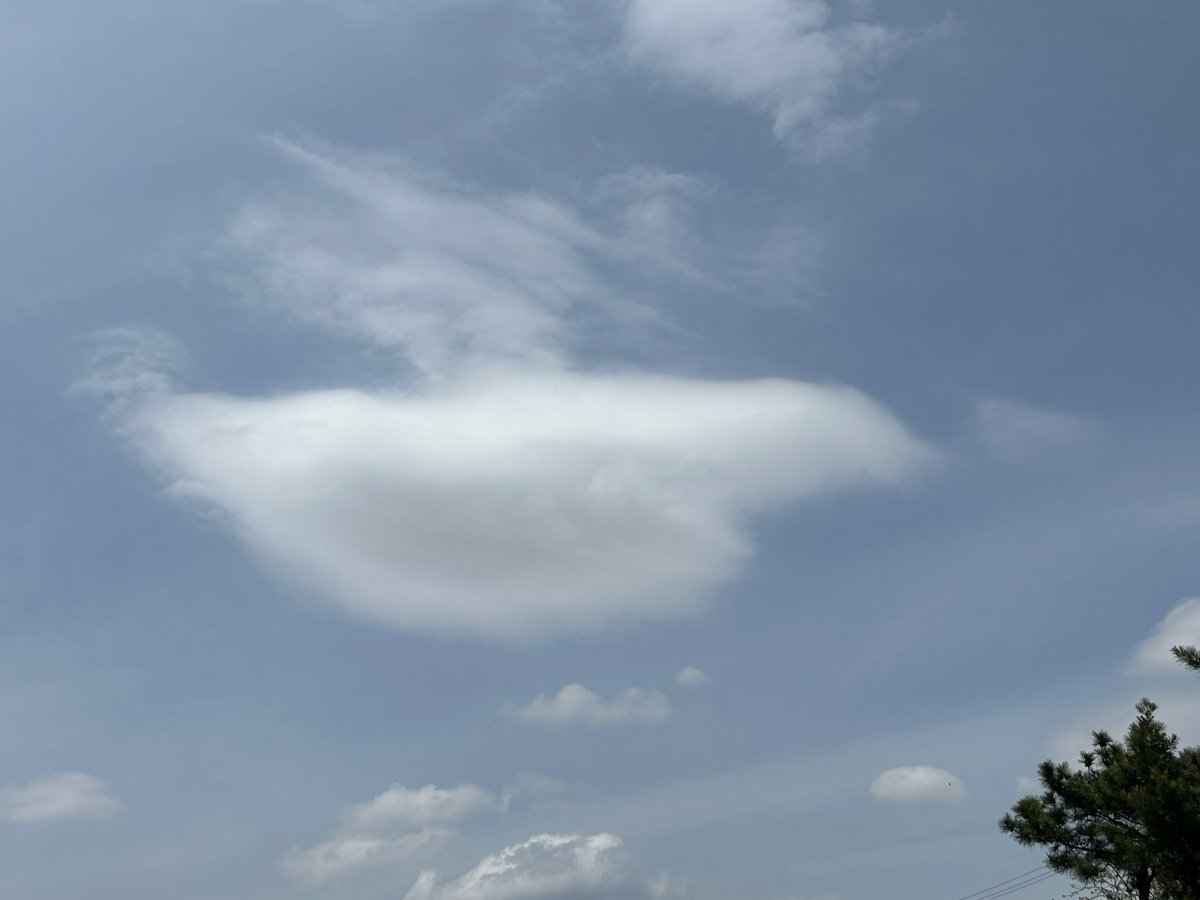 こんにちは☀️
今日の雲さん達🎶