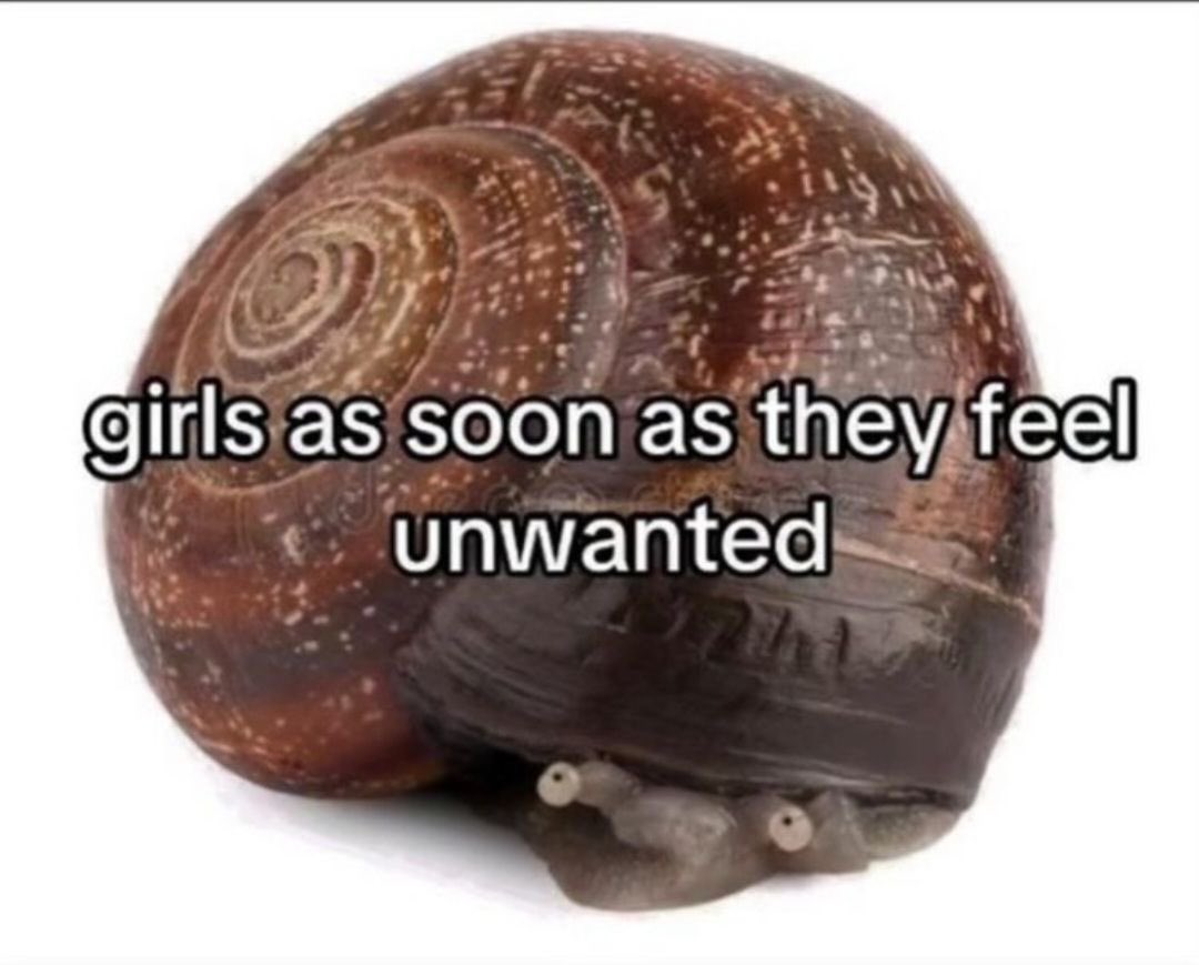 whotfisjovana's tweet image. ㅤ