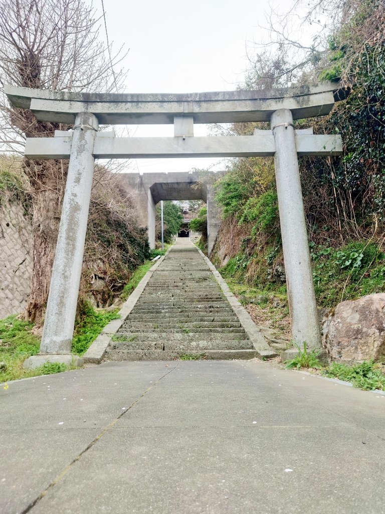 mikan_ookoku's tweet photo. 今年　初乗り🏍️
#NC29 https://t.co/VZR5KIO1tS