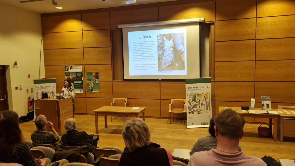 Jessica Hamilton tweet media