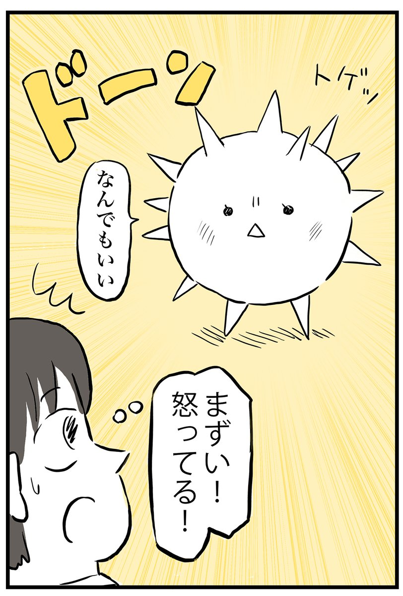 2/4 