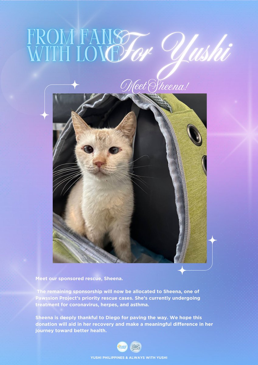 [UPDATE]

It is with a heavy heart that we share the news that Diego, our sponsored cat at Pawssion Project under Yushi's name, has crossed the Rainbow Bridge.

The remaining sponsorship will now go to Sheena, one of their priority rescues.

A donation drive will be opening soon