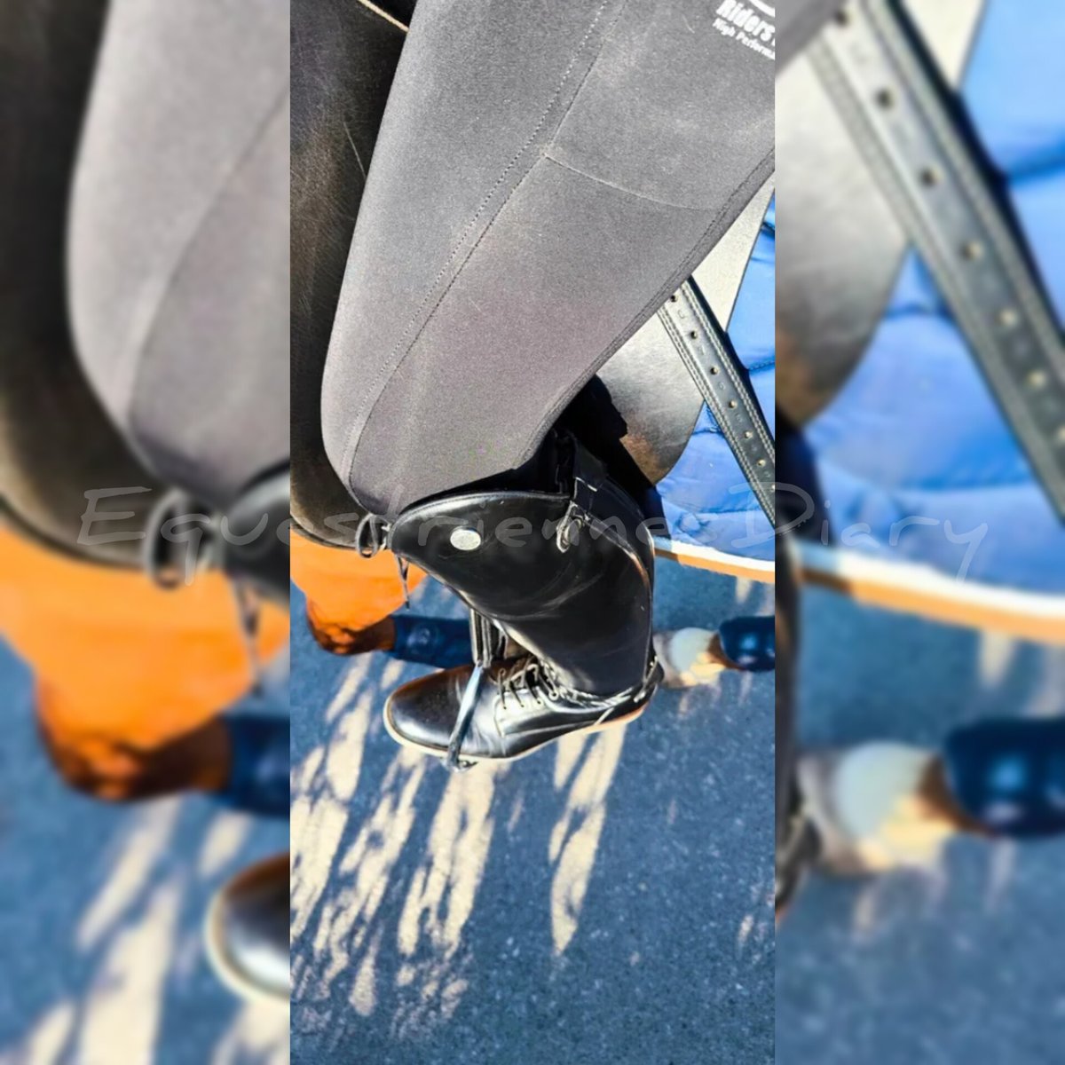 DEquestriennes's tweet photo. Ich genieße die Sonnenstrahlen im Sattel und du wirst verrückt beim Gedanken daran

#equestriennesdiary #reitstiefel #lederstiefel #reithose #reitsocken #reiterin #reitherrin #stiefelknecht #stallbursche #ridingboots #ridingbootfetish https://t.co/TRfIWF49ft