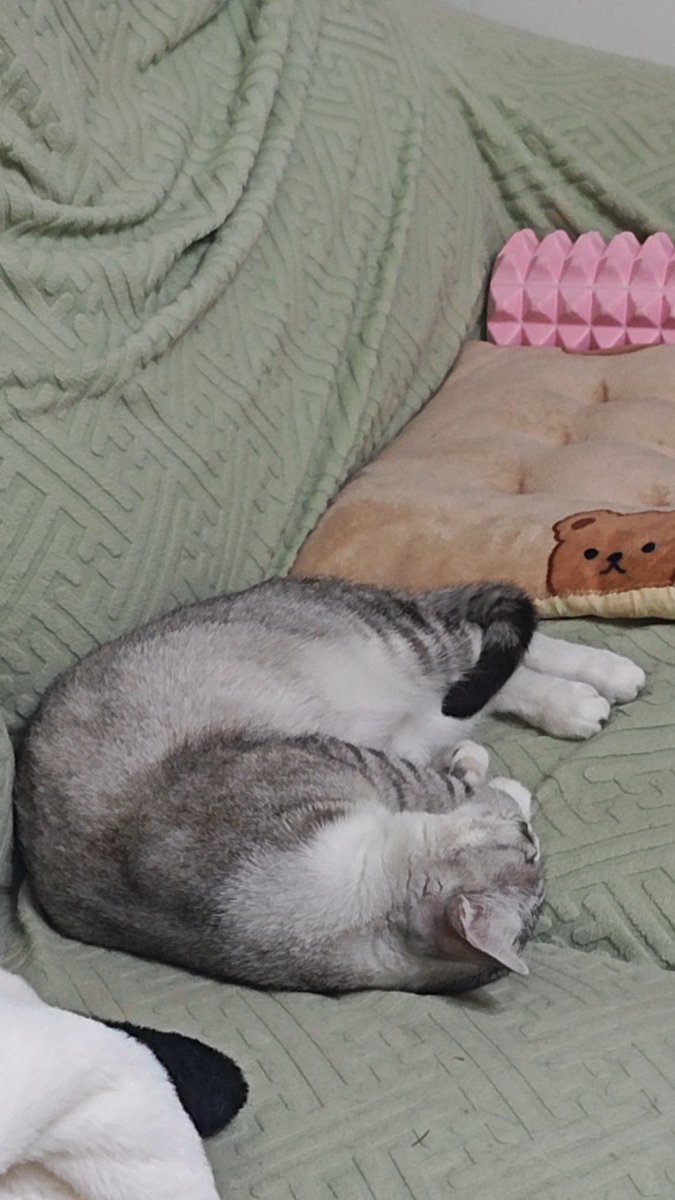 一只胖虾仁 https://t.co/katQJpYnWC