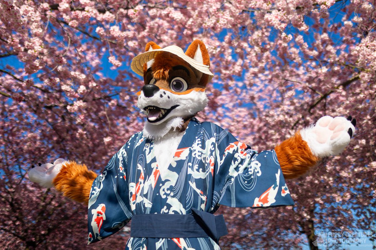 Sakura time! 

<a href="/TravisTheFoxDog/">Travis</a>