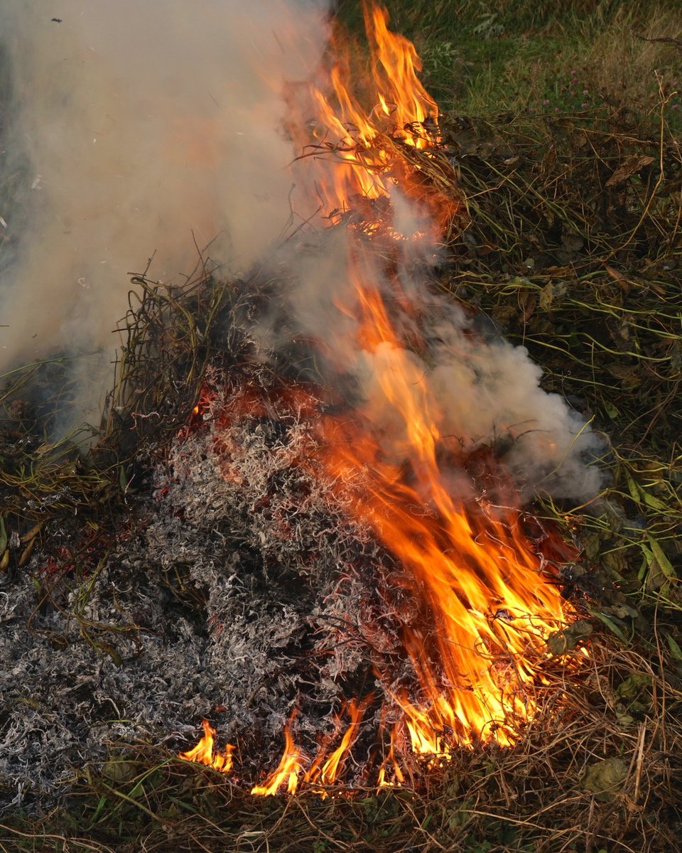 diba's tweet photo. Recorda! 🔥 Fins al 15/10 es prohibeix fer foc a terrenys forestals i a la franja de 500m que els envolta, i no està permès emprar aparells de soldadura, llençar objectes encesos, ni fer abocaments d’escombraries i restes vegetals que puguin iniciar un incendi. #PVIDiba #som311 https://t.co/9yTznJa0qC