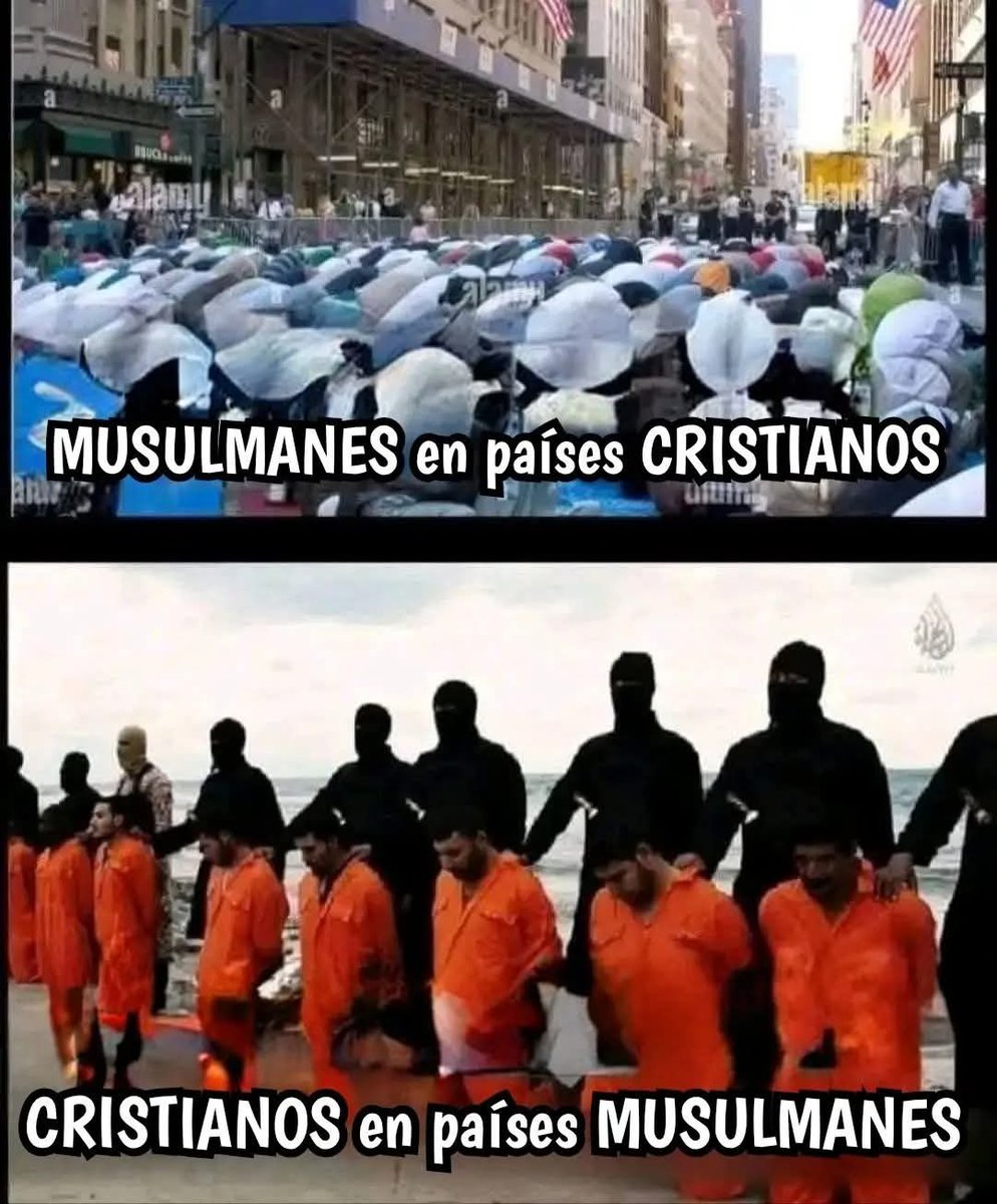 MARIA CASANOVA🌹🌹🌹🌹🌹🌹🌹🌹🌹🌹🌹🌹🌹🌹🌹🌹🌹🌹 tweet media