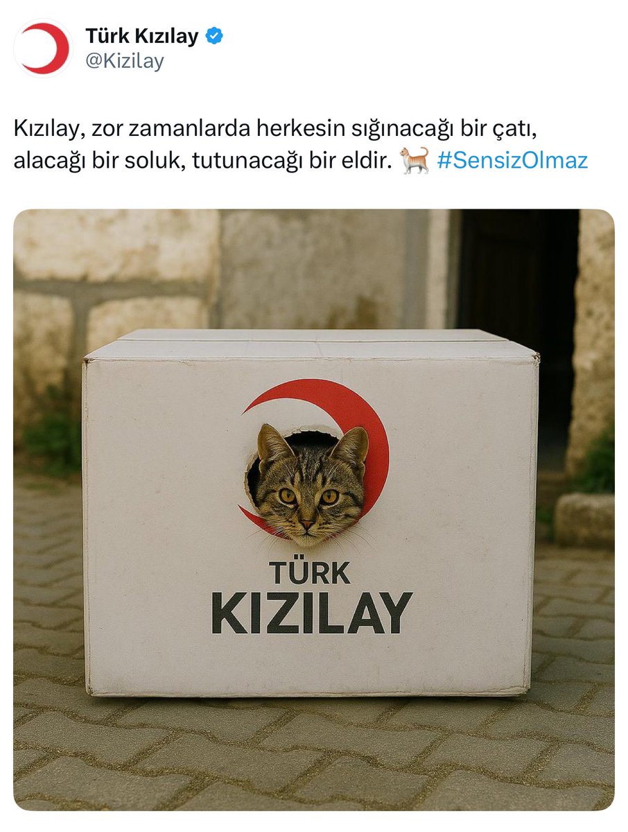 Abdulkadir Erdoğan🇹🇷 (@erdogan2727) on Twitter photo 