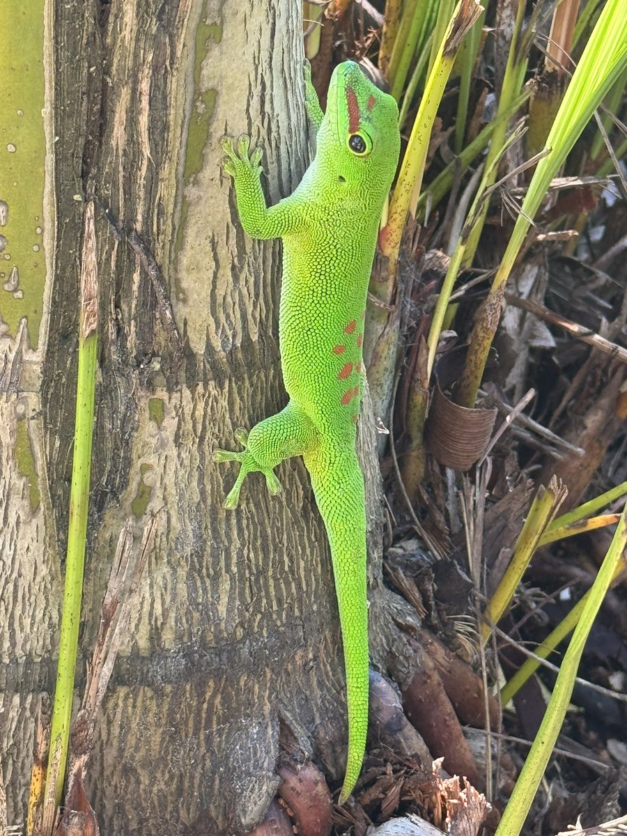 Timothy Jackson tweet media