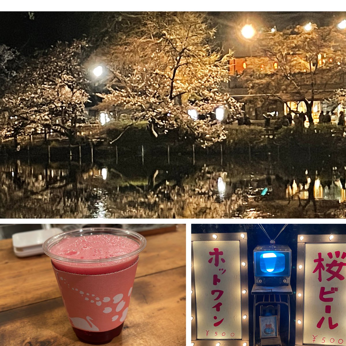 さーくーらー☆