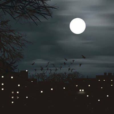 "و لازلنا نبحث عن الحياة، بالرغم أننا فيها."