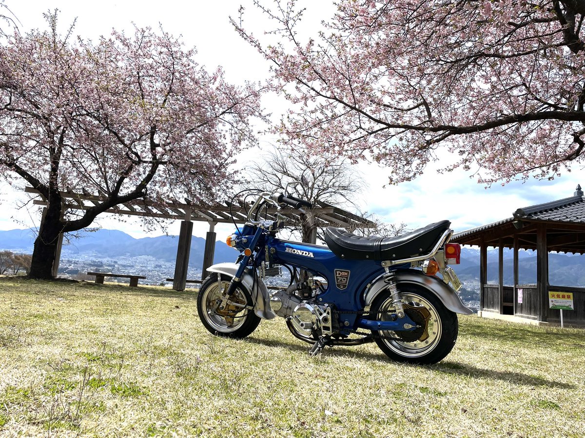 先輩とツーリング🚴
桜はまだでした🌸