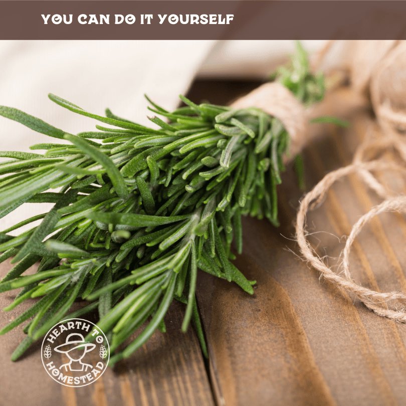 🧵 Twine Dispenser: Use an old sugar container with a hole in the lid to dispense twine easily while working in the garden. #Ga... #homesteading #homesteadingcanada #farming #farm #countryliving #gardening #homesteadliving #smallfarm #farmher #garden #farmstead #backyardhomestead