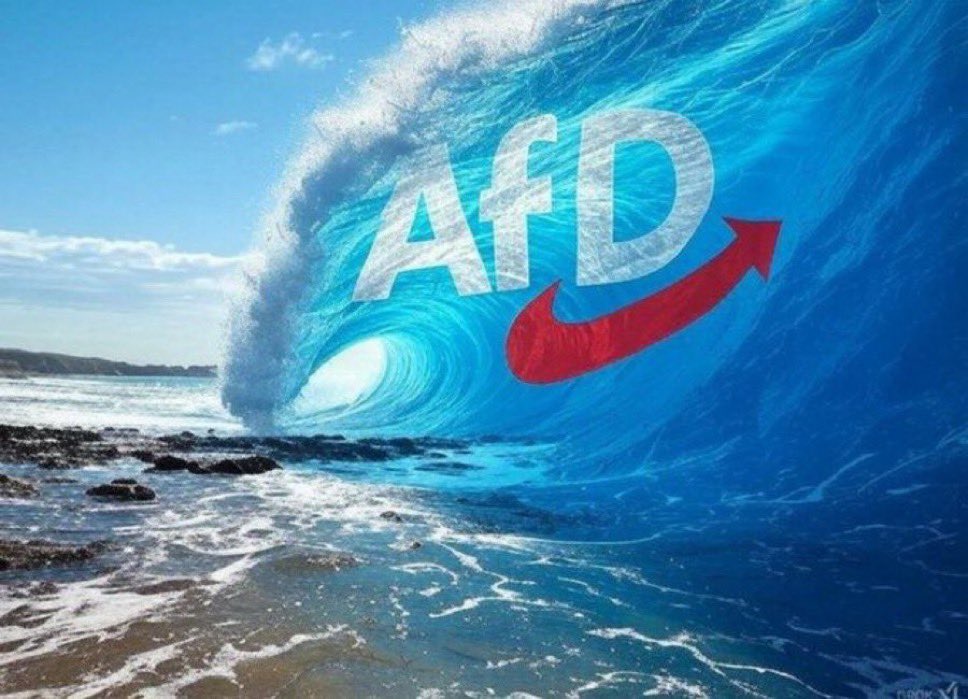 <a href="/Alice_Weidel/">Alice Weidel</a> Ich brauche noch ein Surf Brett 😎💙