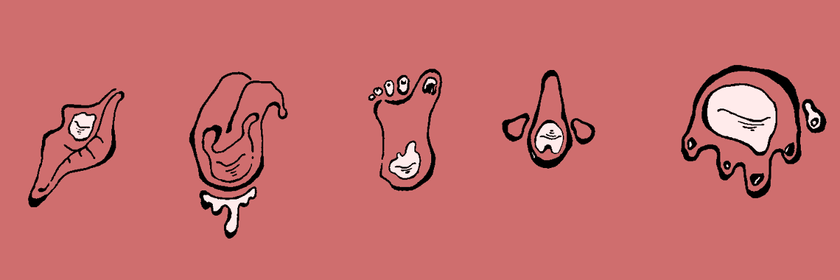 ヘッダー変えました