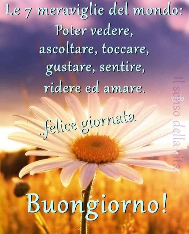Valga per tutti. Buon giorno❤️