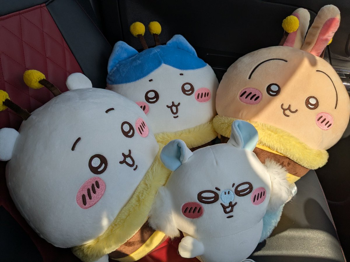 chabane_goki's tweet photo. 親切な店員さんのサポートのおかげで3人揃ったぜあ
プラス イヤッ モモンガ😂
 #90N https://t.co/ViS9ph1bNA