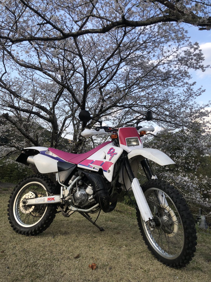 今年も綺麗な桜を観れて満足よ🌸
心機一転！
またがんばろ〜✊😆
#さくら
#dt200wr