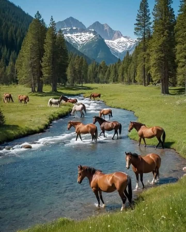 Günaydın...Mutlu Sabahlar